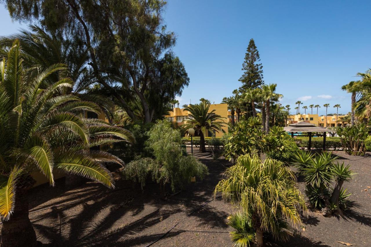 Blue Pearl Apartment Corralejo Bagian luar foto